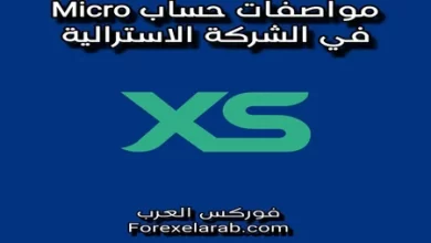 مواصفات حساب micro في شركة xs