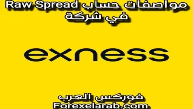 مواصفات حساب رو سبريد في شركة إكسنس