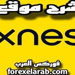 شرح موقع شركة exness