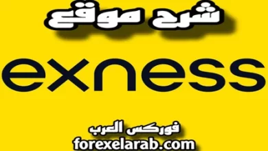 شرح موقع شركة exness